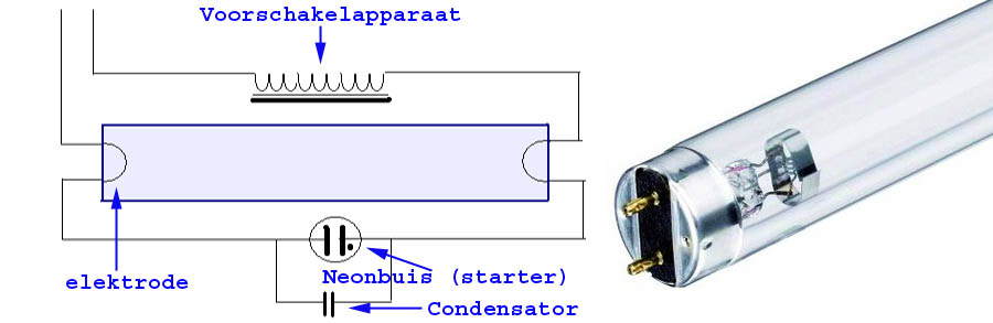 Fluorescent Lamps